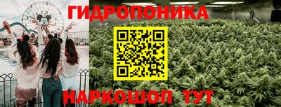 молекула духа Кимры