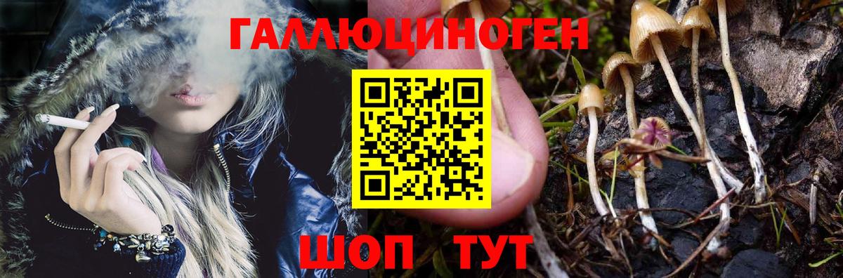 Кузнецк  Псилоцибиновые грибы Psilocybe  Псилоцибиновые грибы Cubensis  Вход с VPN 